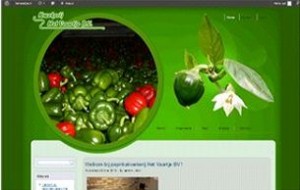website example paprika 1